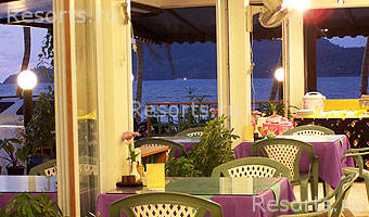 Seagull Home 21